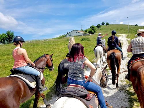 Trekking sul Monte Grappa